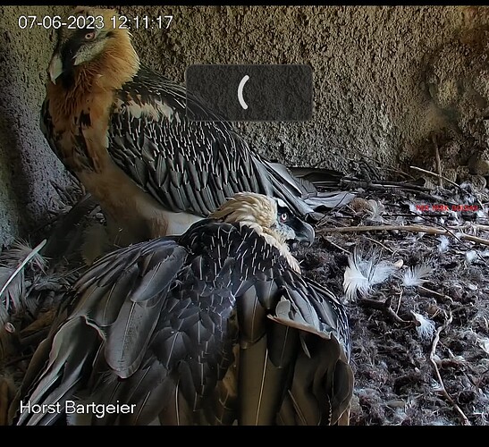 Screenshot_20230607-121152~2