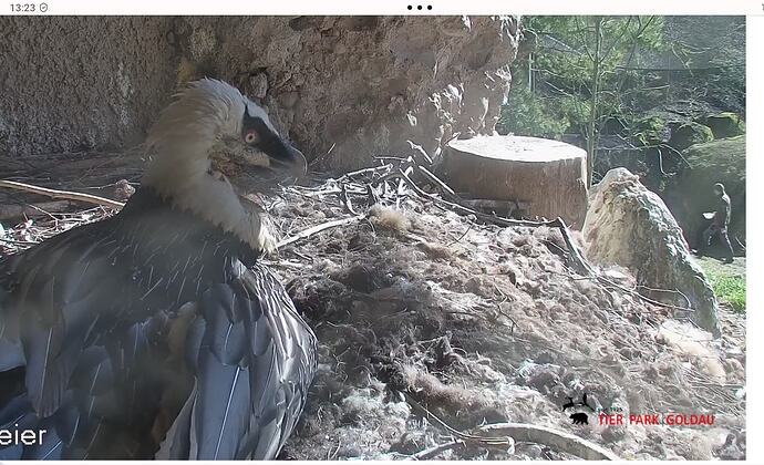 Screenshot_20260213-132314~2