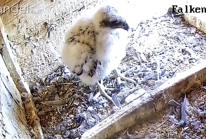 Screenshot_20230517-162758-01