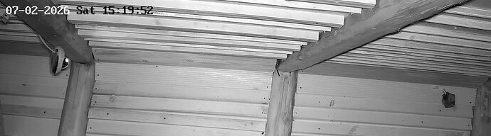 2026-02-7_1 ab 15.00  zwei Hufi in WG