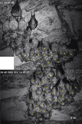 00 20260220 Großer Cluster 84