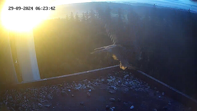 abflug frieda