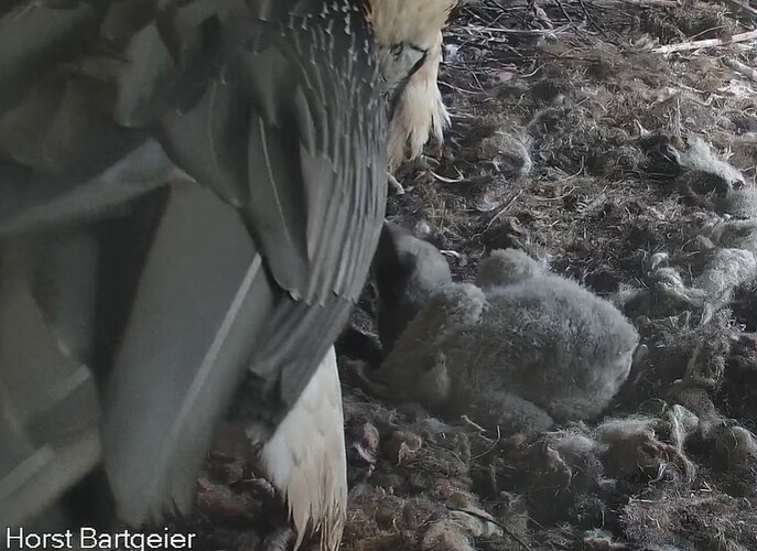 Das schmeckt gut 23.03.24