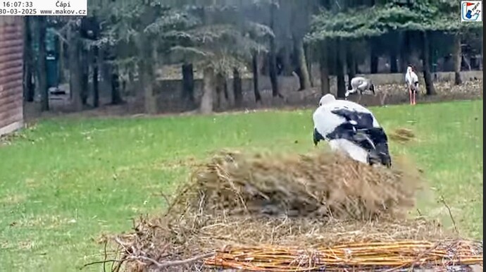 Screenshot_2025-03-30-18-40-06-679_com.google.android.youtube