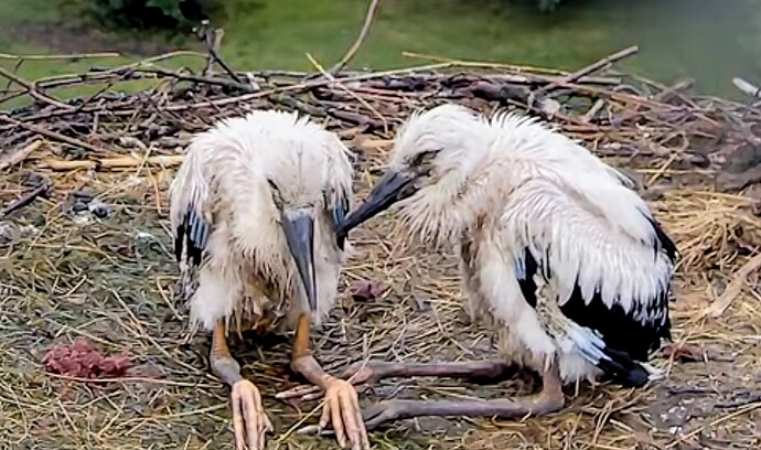 Screenshot_2025-07-08-05-42-00-338_com.google.android.youtube