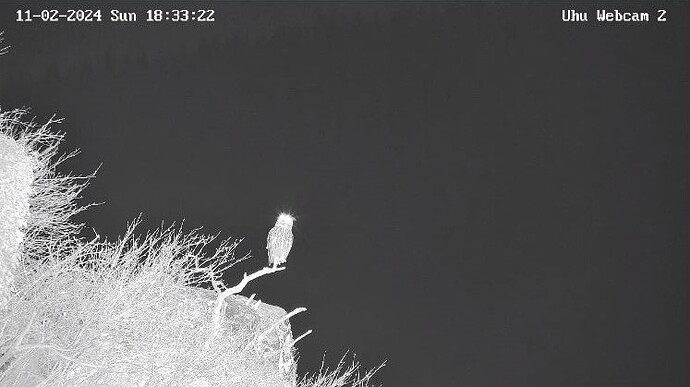 Uhu20