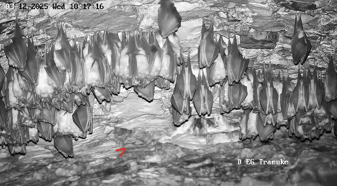 Vollbildaufzeichnung 03.12.2025 181726