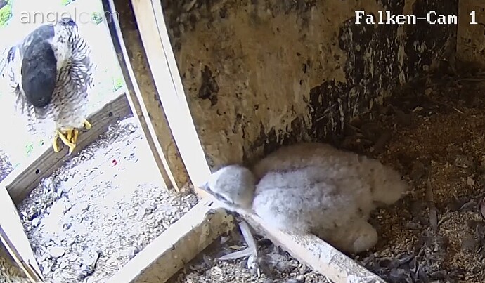 2023-05-10 17_33_01-Clipboard