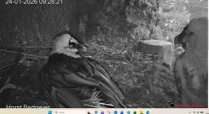 Platztausch 24.01.26