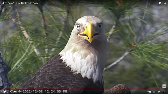 NEFL_221203_new_mate_close_front