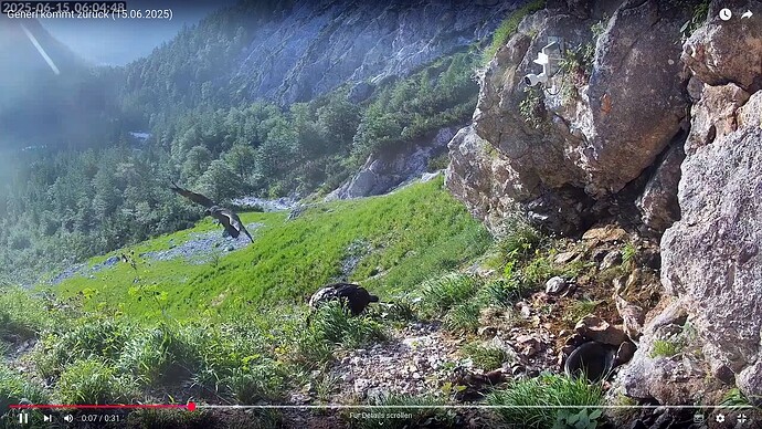 Bildschirmfoto vom 2025-06-15 09-58-11