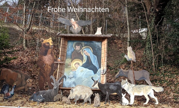 IMG_20231216_123229~2