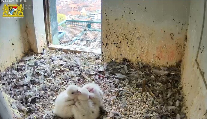 Screenshot_20230415-084203_Samsung Internet