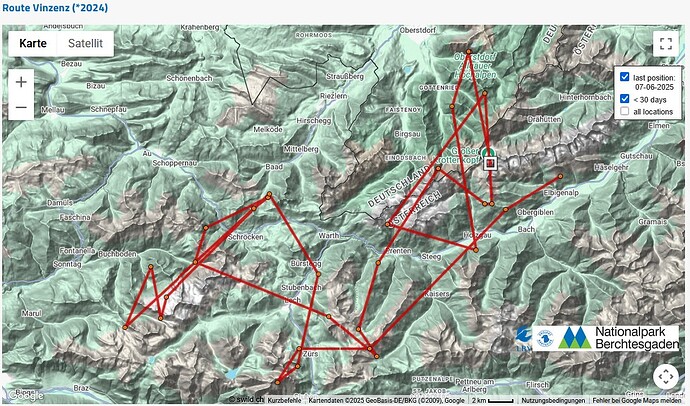 Screenshot 2025-06-11 203641