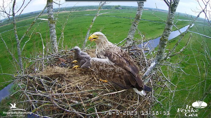 Snap_2023.05.06_13h19m40s_009_