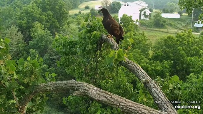 decn_230627_perch