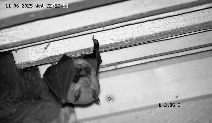 Screenshot_20250611-225306_Chrome