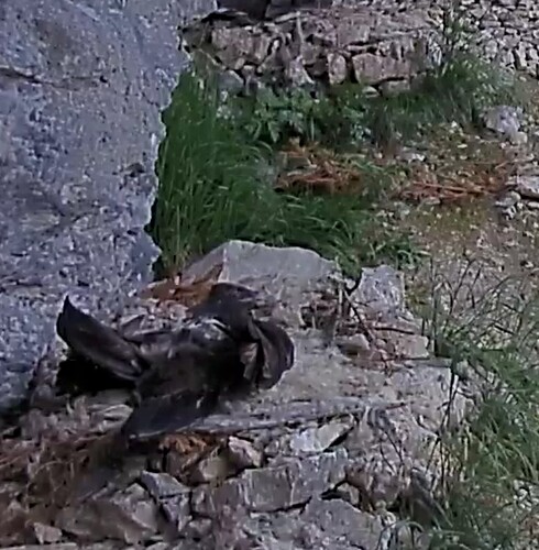 Screenshot_20230710-110852~2