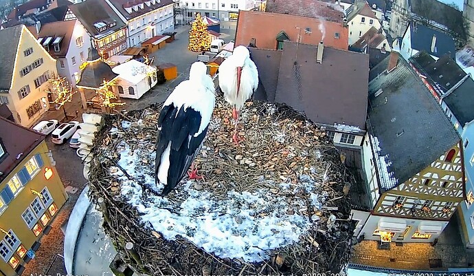 Screenshot_2023-12-07-16-33-34-718_com.android.chrome