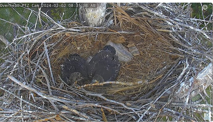 Screenshot 2024-02-02 143302