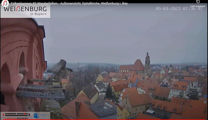 Snap_2023.03.05_07h38m22s_004_