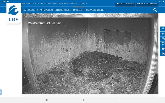 Screenshot_20250526-223922_Chrome