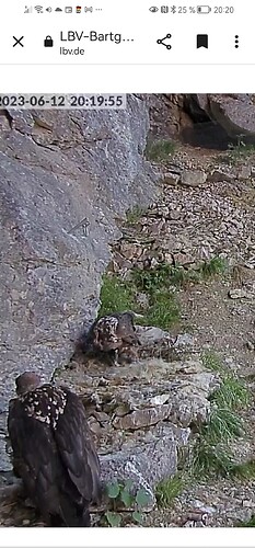 Screenshot_20230612_202021_com.android.chrome