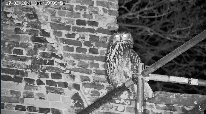 Screenshot_20240217_191048_Chrome~2