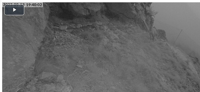 Screenshot_20230913-195223_Chrome