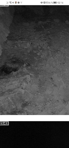 Screenshot_20230603_021606_com.android.chrome