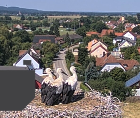 Screenshot_2025-06-30-11-13-27-366_com.android.chrome