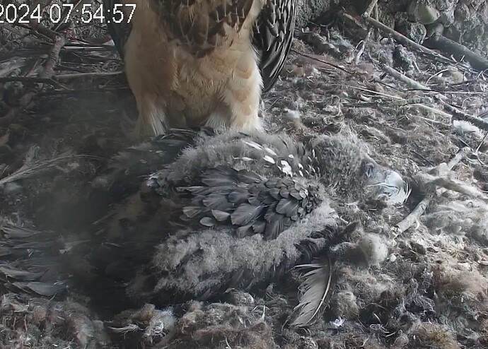 rausschauen und träumen 27.04.24