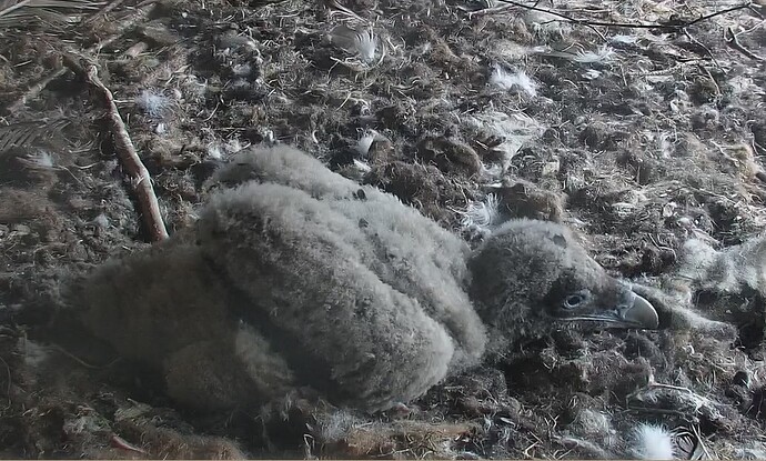 Allein z.H. morgens 05.04.24