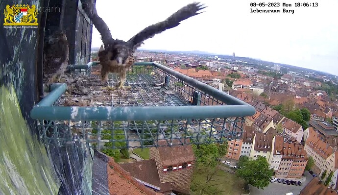 Screenshot_20230508-180639_Samsung Internet