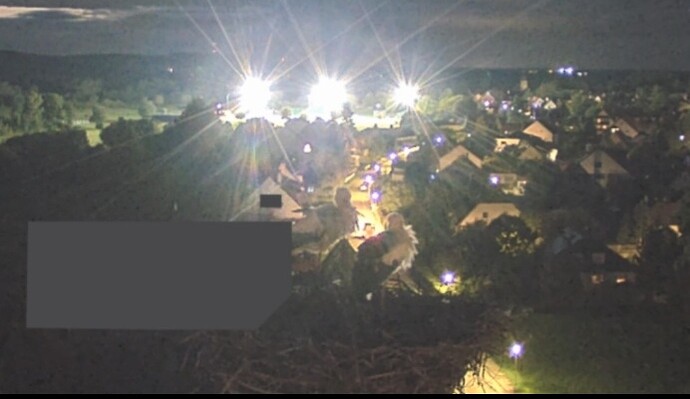 Screenshot_20240924-200959_DuckDuckGo