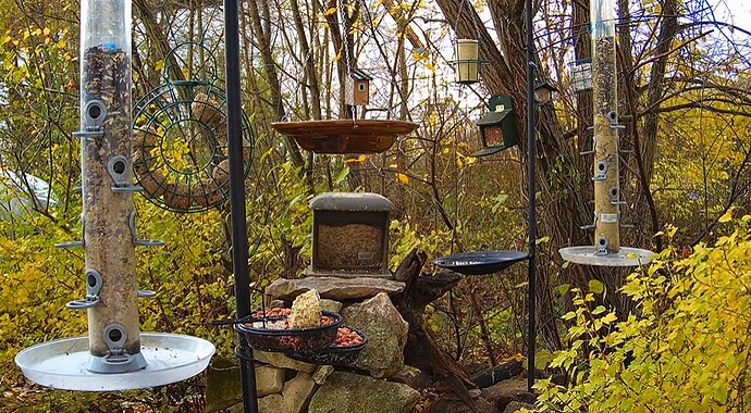 Aufgefüllt 21.11.24