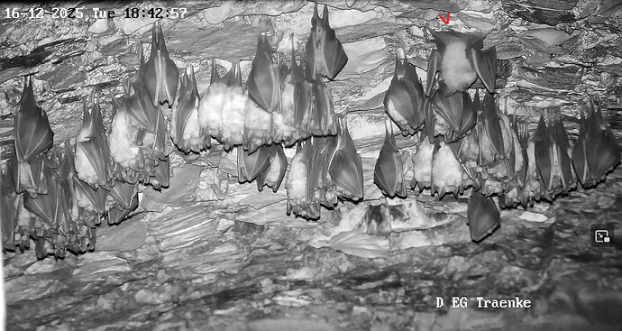 Vollbildaufzeichnung 16.12.2025 184300