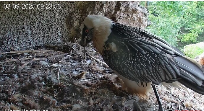 Neues Mobiliar 03.09.25