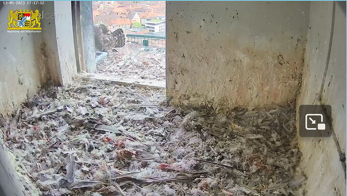 Snap_2023.05.13_17h17m39s_017_