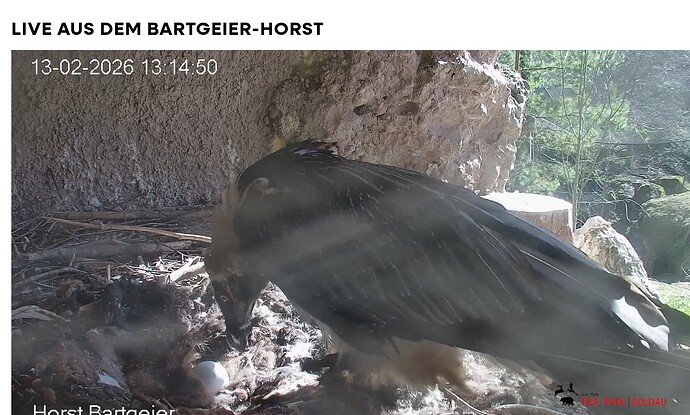 Screenshot_20260213-131555~2