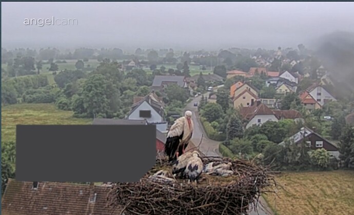 Screenshot_20240602_092809_Chrome