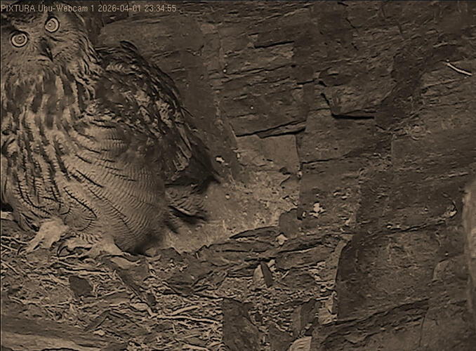 Screenshot_20260401_233732_Opera