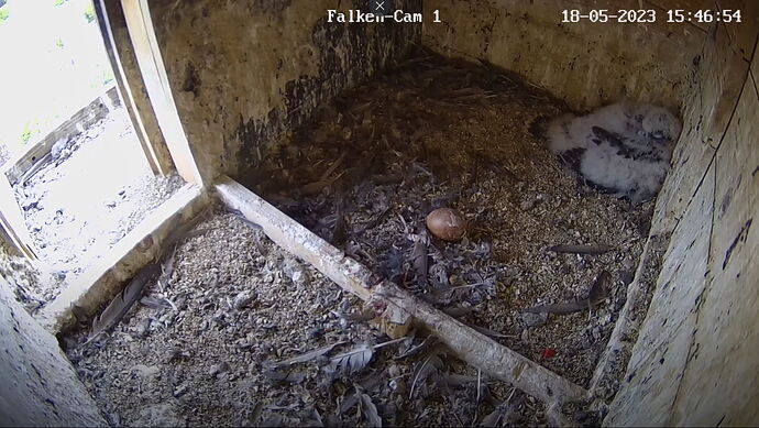 Snap_2023.05.18_15h47m20s_021_