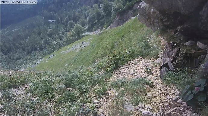 2023-07-24 09_18_46-Greenshot