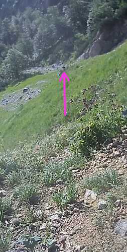 IMG-20230707-WA0002
