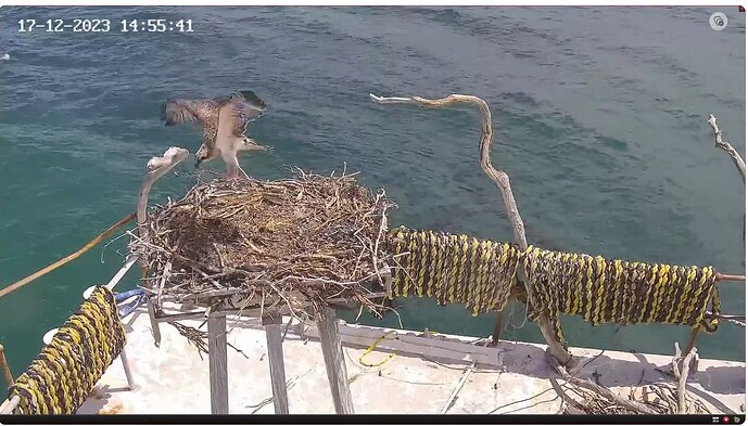 Screenshot 2023-12-17 171834