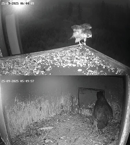 Screenshot_2025-09-25-06-44-22-780_com.android.chrome~2