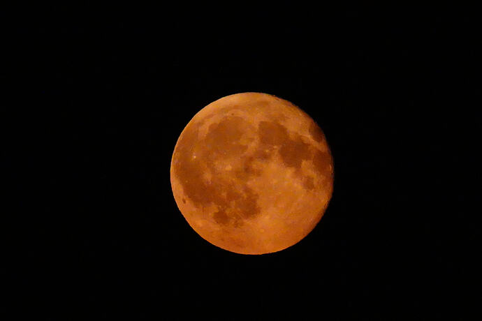 DSC08029