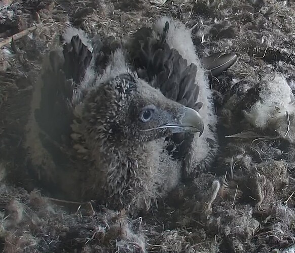 Ich warte 1 23.04.24