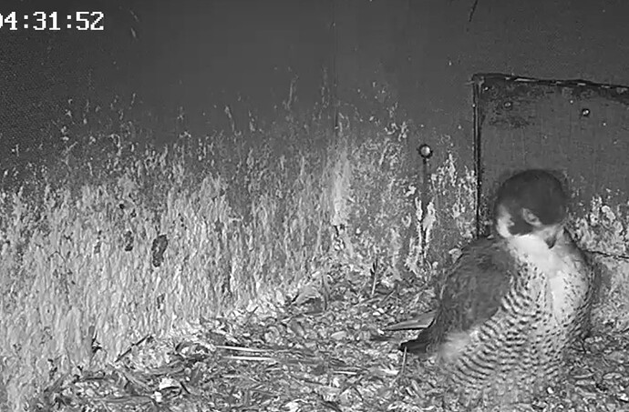 Screenshot_2025-07-08-05-26-27-424_com.android.chrome